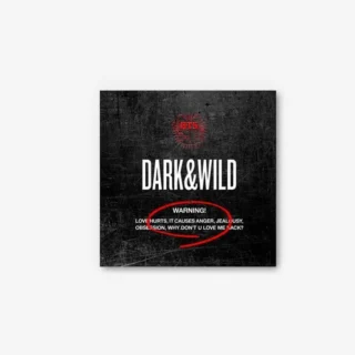 Альбом BTS DARK & WILD